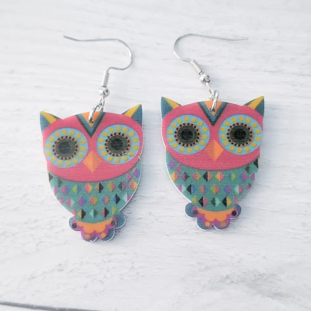 Multi Colored Owl Dangle Hook Earrings - New